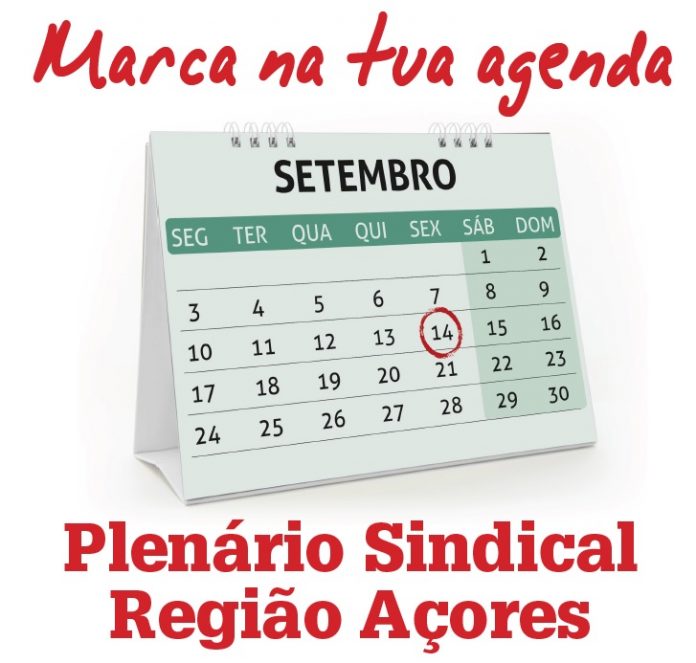 plenario14set